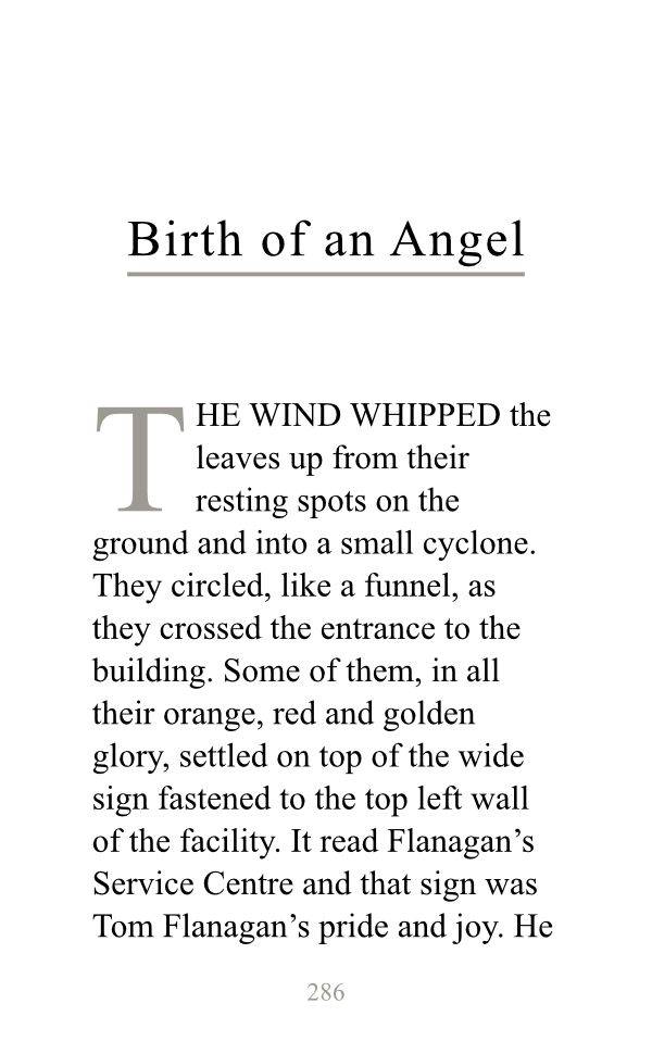 Flanagan Soup page example