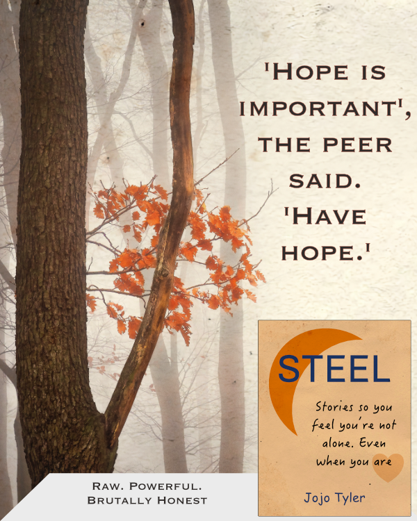 STEEL ad: 'Hope is important', the peer said. 'Have hope.'